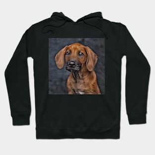 I Love Dogs, The Best Friends, Redbone Coonhound Hoodie